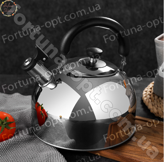 Чайник нержавеющий дешевый A-Plus - 1321 - 2,5 л ✅ базовая цена $6.51 ✔ Опт ✔ Скидки ✔ Заходите! - Интернет-магазин ✅ Фортуна-опт ✅