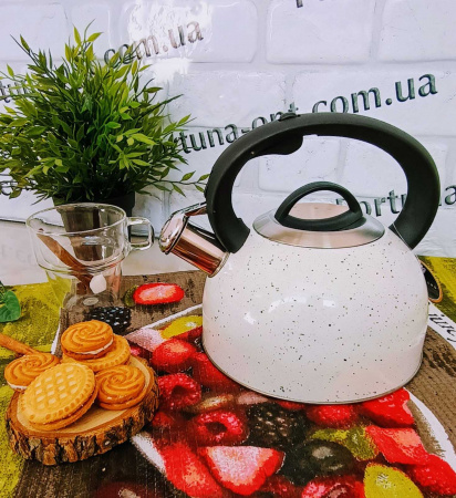 Чайник н/ж цвет 2,5л Edenberg 1440 ✅ базовая цена $11.97 ✔ Опт ✔ Скидки ✔ Заходите! - Интернет-магазин ✅ Фортуна-опт ✅