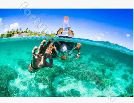 Маска для дайвинга Swining mask -5460 ✅ базовая цена $10.17 ✔ Опт ✔ Скидки ✔ Заходите! - Интернет-магазин ✅ Фортуна-опт ✅