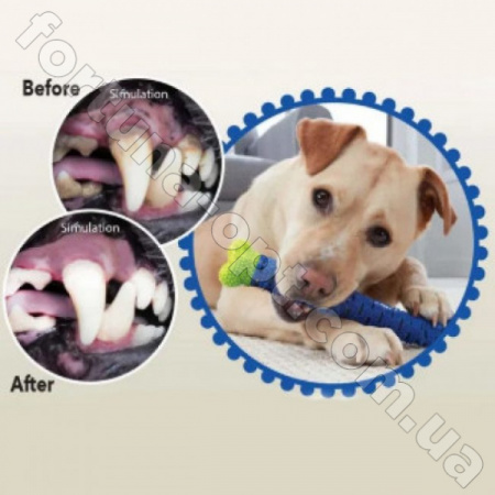 Зубная щетка для собак Сhewbrush (DOG DUMMY BONE) - 7197 ✅ картинка - Интернет-магазин ✅ Fortuna-opt.com.ua. ✅ Зубная щетка для собак Сhewbrush (DOG DUMMY BONE) - 7197 ✅ базовая цена $2.52 ✔ Опт ✔ Скидки ✔ Заходите! - Интернет-магазин ✅ Фортуна-опт ✅