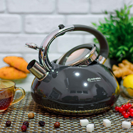 Чайник на плиту со свистком 3 л Edenberg EB - 2452 ✅ базовая цена $20.15 ✔ Опт ✔ Скидки ✔ Заходите! - Интернет-магазин ✅ Фортуна-опт ✅