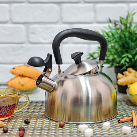 Чайник со свистком ECONOM 2.0 л A-Plus - 1373 ✅ базовая цена $6.23 ✔ Опт ✔ Скидки ✔ Заходите! - Интернет-магазин ✅ Фортуна-опт ✅