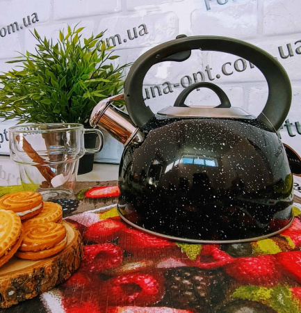 Чайник н/ж цвет 2,5л Edenberg 1440 ✅ базовая цена $11.97 ✔ Опт ✔ Скидки ✔ Заходите! - Интернет-магазин ✅ Фортуна-опт ✅