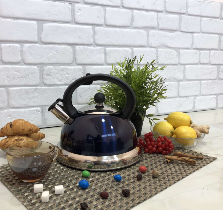 Чайник из нержавеющей стали 2,5 л A-Plus - 1237