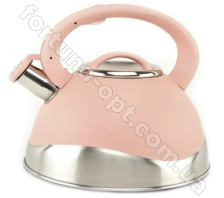 Чайник нержавейка для плиты 3 л A-Plus - 1379  ✅ базовая цена $12.08 ✔ Опт ✔ Скидки ✔ Заходите! - Интернет-магазин ✅ Фортуна-опт ✅