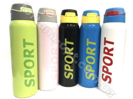 Термос нержавеющий Benson BN - 031 - 350 мл ➜ фото ➜ розн цена $5.38 - Интернет-магазин ✅ Fortuna-opt.com.ua. ✅