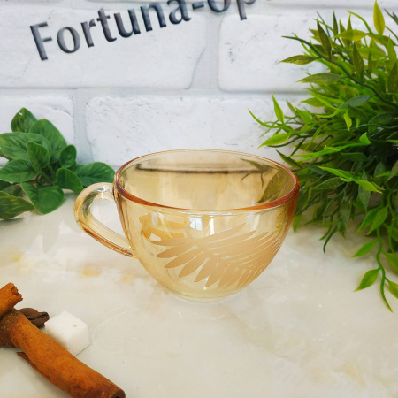 Чашка стекло 200 мл "Папоротник" 6шт/наб 223-1416 ✅ базовая цена 417.36 грн. ✔ Опт ✔ Скидки ✔ Заходите! - Интернет-магазин ✅ Фортуна-опт ✅