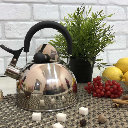 Чайник нержавеющий дешевый A-Plus - 1321 - 2,5 л ✅ базовая цена $6.23 ✔ Опт ✔ Скидки ✔ Заходите! - Интернет-магазин ✅ Фортуна-опт ✅