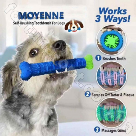 Зубная щетка для собак Сhewbrush (DOG DUMMY BONE) - 7197 ✅ картинка - Интернет-магазин ✅ Fortuna-opt.com.ua. ✅ Зубная щетка для собак Сhewbrush (DOG DUMMY BONE) - 7197 ✅ базовая цена $2.52 ✔ Опт ✔ Скидки ✔ Заходите! - Интернет-магазин ✅ Фортуна-опт ✅