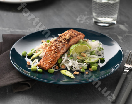 Тарелка IPEC т.бирюза 3536 (21 см) ✅ базовая цена 21.31 грн. ✔ Опт ✔ Скидки ✔ Заходите! - Интернет-магазин ✅ Фортуна-опт ✅