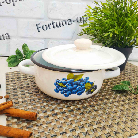 Кастрюля эмалированная 1,5л 1608/2  Разное  ✅ базовая цена 254.51 грн. ✔ Опт ✔ Скидки ✔ Заходите! - Интернет-магазин ✅ Фортуна-опт ✅