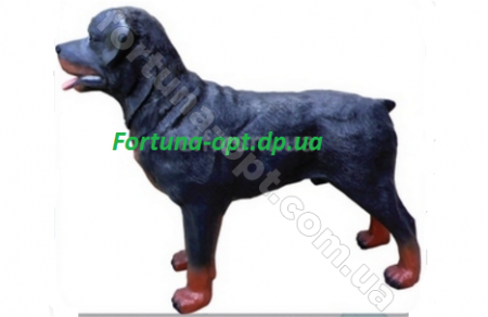 Ротвейлер стоящий 0174 (полимер) ✅ базовая цена 670 грн. ✔ Опт ✔ Скидки ✔ Заходите! - Интернет-магазин ✅ Фортуна-опт ✅