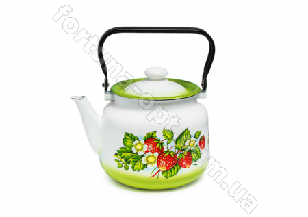 Чайник эмалированный 3,5 л 2713/3 Зеленая земляника ✅ базовая цена 221.53 грн. ✔ Опт ✔ Скидки ✔ Заходите! - Интернет-магазин ✅ Фортуна-опт ✅