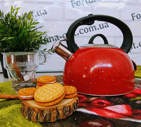 Чайник н/ж цвет 2,5л Edenberg 1440 ✅ базовая цена $11.97 ✔ Опт ✔ Скидки ✔ Заходите! - Интернет-магазин ✅ Фортуна-опт ✅