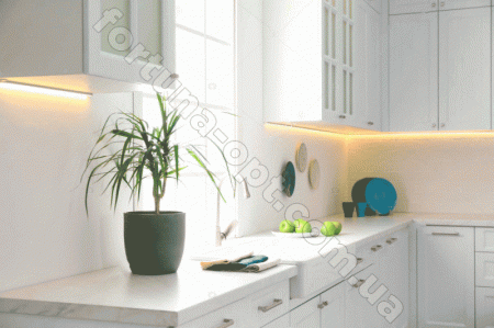 Тарелка IPEC бирюза 0092 (27 см) ✅ картинка - Интернет-магазин ✅ Fortuna-opt.com.ua. ✅ Тарелка IPEC бирюза 0092 (27 см) ✅ базовая цена 27.50 грн. ✔ Опт ✔ Скидки ✔ Заходите! - Интернет-магазин ✅ Фортуна-опт ✅