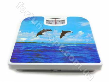 Весы механические напольные A-Plus - 1651 ✅ картинка - Интернет-магазин ✅ Fortuna-opt.com.ua. ✅ Весы механические напольные A-Plus - 1651 ✅ базовая цена $7.42 ✔ Опт ✔ Скидки ✔ Заходите! - Интернет-магазин ✅ Фортуна-опт ✅